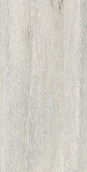 Керамогранит DW01 Dream Wood натуральная 30.6x60.9 бежевый
