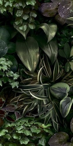 Керамогранит 41Zero42 Paper41 Pro Jane B