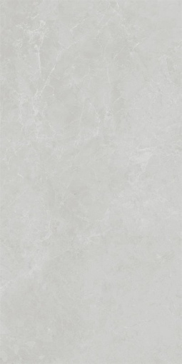48010R Монте Тиберио серый глянцевый обрезной 40x80x1