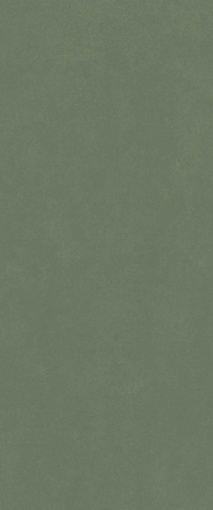 Настенная плитка Серфейс Форест Грин 50x120 Рет (600010002445)