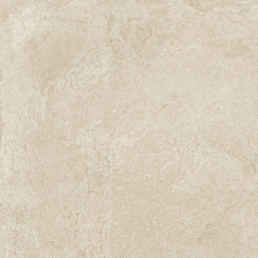 Ринашенте Фьюжн Кальче 60x60