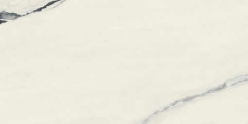 Керамогранит Форте де Марми Панда Вайт Рет 60x120 (610010003172)