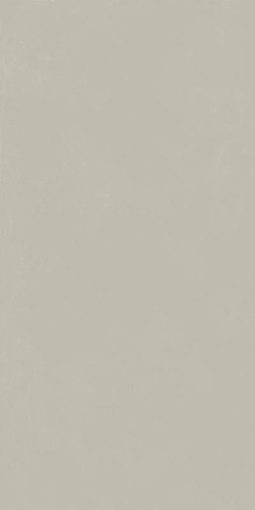 Форум Слим Сильвер 60x120