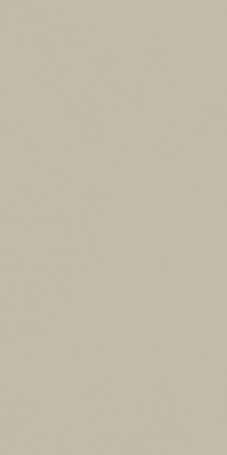 Форум Слим Дезерт 60x120