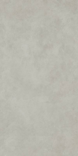 Форум Вэйв Сильвер 60x120