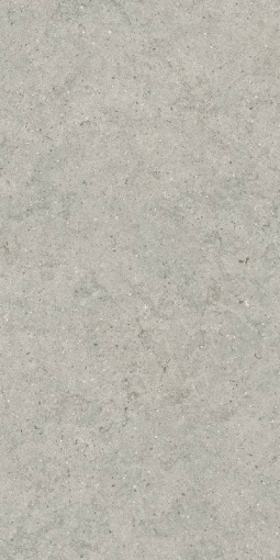 Форум Стоун Сильвер 60x120