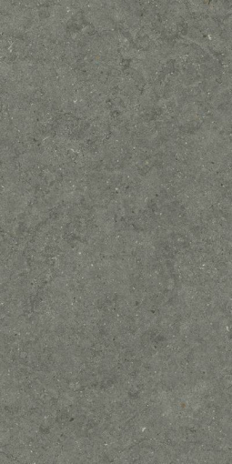 Форум Стоун Айрон 60x120