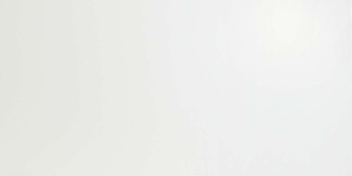 Плитка Solid White Matt 30,5x56 (9D5S) 