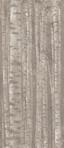 Декор Boost Pro Grove 120x278 (A0LW) 