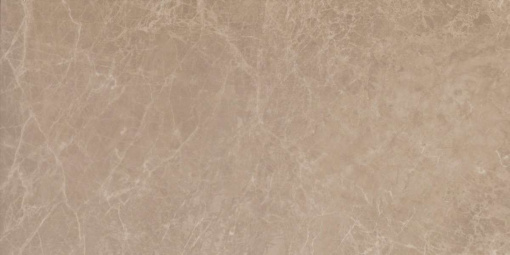 Керамогранит Marvel Elegant Sable 30x60 Lappato (AEN6) 