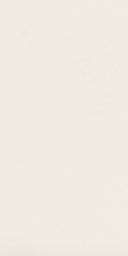 Керамогранит Absolute White Polished 159x324 20 mm (AILY) 
