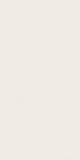 Керамогранит Absolute White Matte 160x320