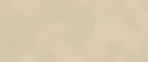 Плитка Boost Color Cream 50x120 (AKM2) 