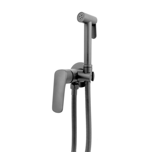 AQ1019BGM ВЕГА комплект для гигиенического душа встроенный (смеситель + гигиеническая лейка + шланг), оружейная сталь