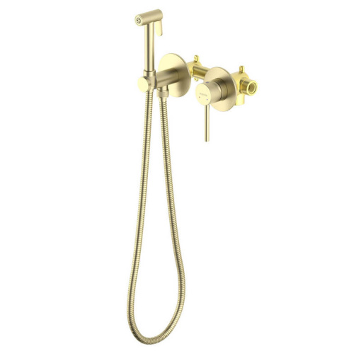 AQ1319BG ЕВРОПА комплект для гигиенического душа встроенный 2 отв. (смеситель + гигиеническая лейка + шланг), шлиф. золото