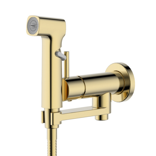 AQ1819BG НИКА комплект для гигиенического душа встроенный (смеситель + гигиеническая лейка + шланг), шлиф.золото