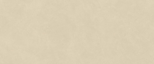 Плитка Boost Natural Pro Oat 50x120 (AQ6O)