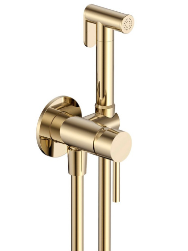 AQM6217GG Siena Готовый комплект гигиенического душа (скрытый монтаж, латунная лейка), Glossy gold