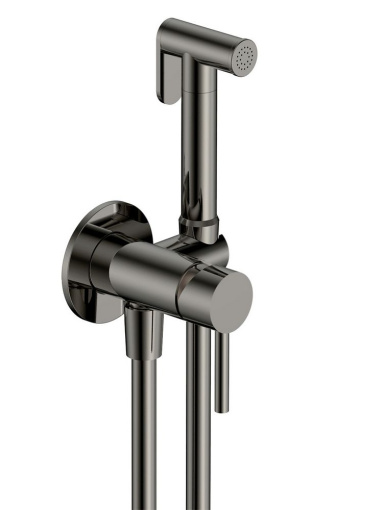 AQM6217GM Siena Готовый комплект гигиенического душа (скрытый монтаж, латунная лейка), Gun metal