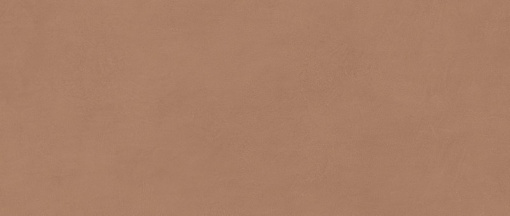 Плитка Boost Expression Sienna 50x120 