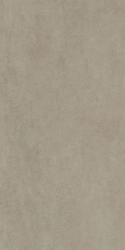 DD571690R Про Догана бежевый матовый обрезной 80x160x0,9