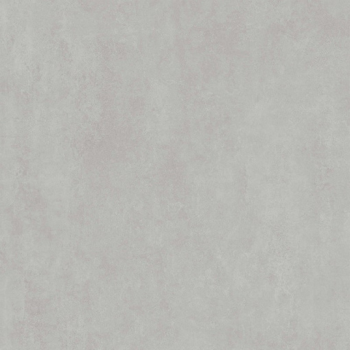 DD841190R Про Догана серый светлый матовый обрезной 80x80x0,9
