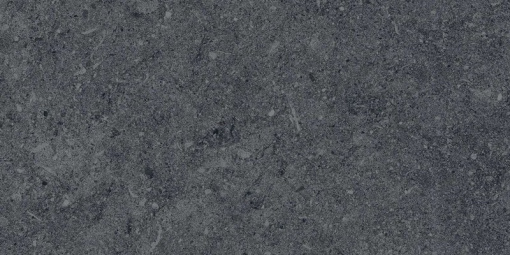 DL200800R20 Роверелла серый тёмный обрезной 30x60x20