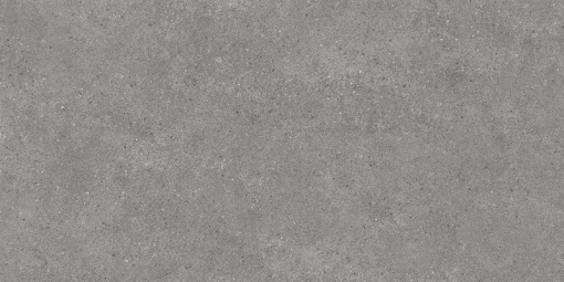 DL500920R Фондамента серый обрезной 60x119,5x0,9