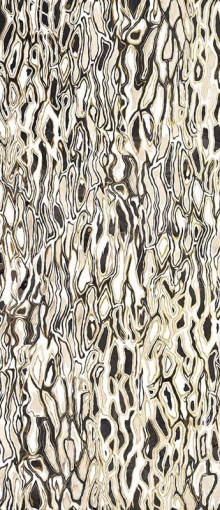 Декор GHEPARD6 278LP 120x278