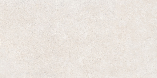 Sandstone Белый Матовый R10a 60x120