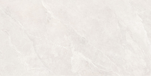 Ardestone Белый Матовый R10a 60x120