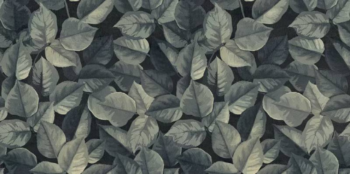 Декор ABK Wide & Style Mini Foliage R 60x120