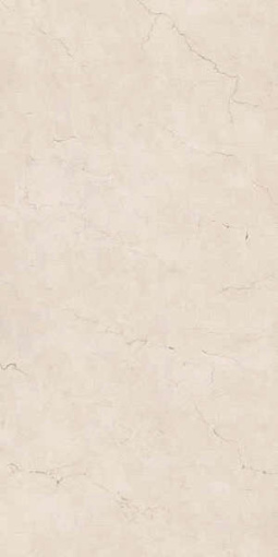 Керамогранит Spr.Memor. Rosa Perl. Nat R60x120