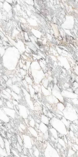 Керамогранит Spr.Memor. Bian.Vagli An3 R60x120