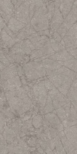 Керамогранит Spr.Memor. Grey Soap. An3 R60x120