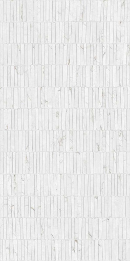 Керамогранит Spr.Memor. Medl.Quarz. Nat R60x120