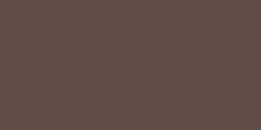 Керамогранит RW04 Rainbow натуральная 60x120 коричневый