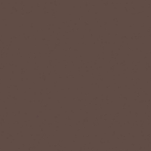 Керамогранит RW04 Rainbow натуральная 60x60 коричневый