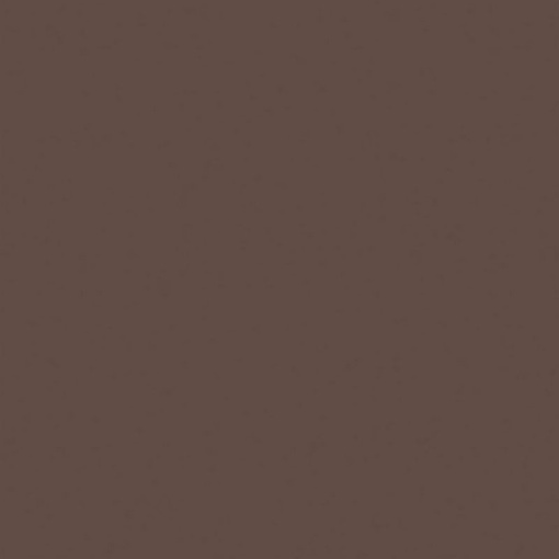 Керамогранит RW04 Rainbow натуральная 80x80 коричневый