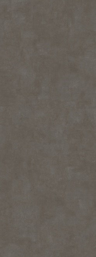 SG070500R6 Beton Antracite 119,5x320х6