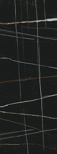 SG072902R SL Сахара Блэк лаппатированный 119,5x320х11