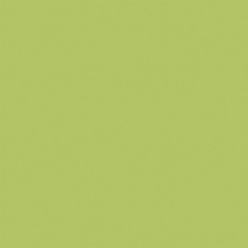 Керамогранит YC93 YourColor натуральная 60x60 зеленый