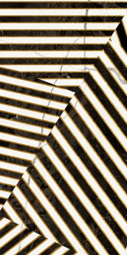 Декор ZEBRA6 36 30x60