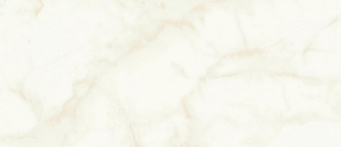Плитка Marvel Calacatta Delicato 50x120 Silk (A4TT) 