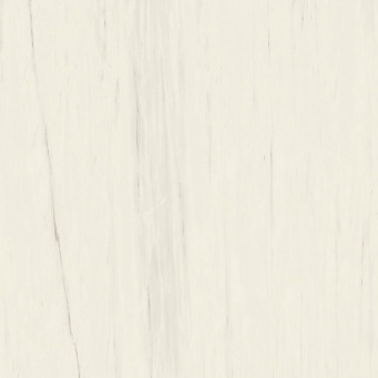 Керамогранит Marvel Bianco Dolomite 160x160RT Lappato (AO53) 