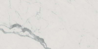 Керамогранит Roma Gold 60X120 Carrara Superiore Brill (fPZ2)