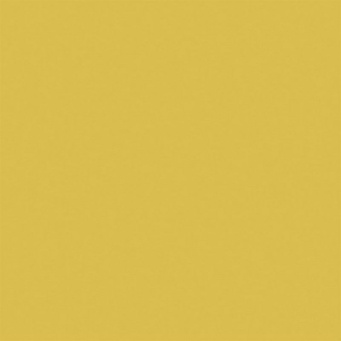 Керамогранит YC14 YourColor натуральная 60x60 желтый