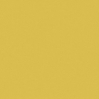 Керамогранит YC14 YourColor натуральная 80x80 желтый