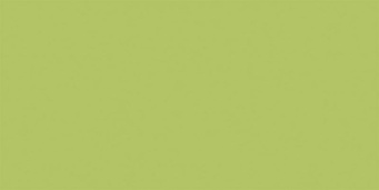 Керамогранит YC93 YourColor натуральная 60x120 зеленый