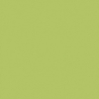 Керамогранит YC93 YourColor натуральная 60x60 зеленый